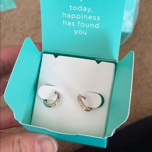 Origami owl earrings